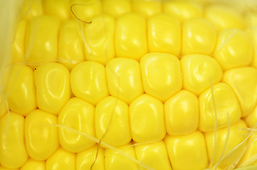 Image showing Detail shot of fresh corn on cob