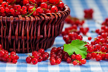 Image showing Redcurrant in wicker bowl on the table