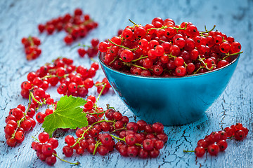 Image showing Redcurrant in wicker bowl on the table