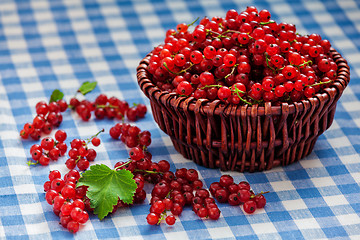 Image showing Redcurrant in wicker bowl on the table