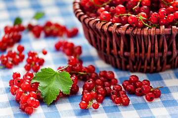 Image showing Redcurrant in wicker bowl on the table
