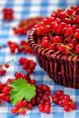 Image showing Redcurrant in wicker bowl on the table