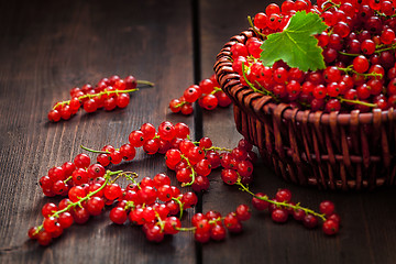 Image showing Redcurrant in wicker bowl on the table