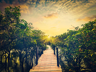 Image showing Wooden bridge in flooded rain forest of mangrove trees