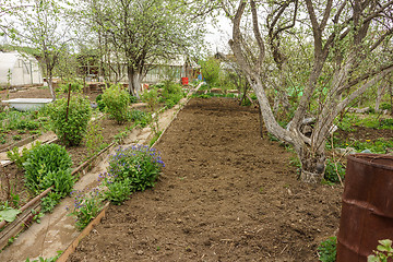 Image showing Allotment garden path