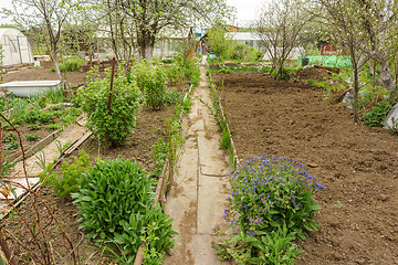 Image showing Allotment garden path