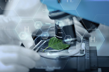 Image showing close up of hand with microscope and green leaf