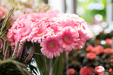 Image showing close up of pink gerbera at flower shop