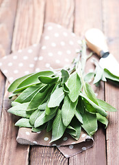 Image showing fresh sage