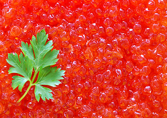 Image showing salmon caviar