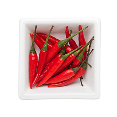 Image showing Thai chili