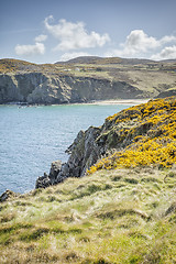 Image showing coast at Fanad Head Ireland