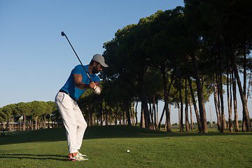 Image showing golf player