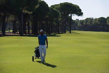 Image showing golf player walking with wheel bag