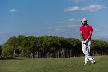 Image showing handsome middle eastern golf player portrait at course