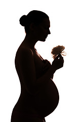 Image showing Silhouette of pregnant woman holding flower