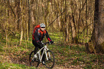 Image showing Mountain Bike cyclist riding single track