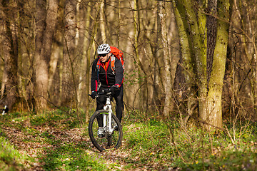 Image showing Mountain Bike cyclist riding single track