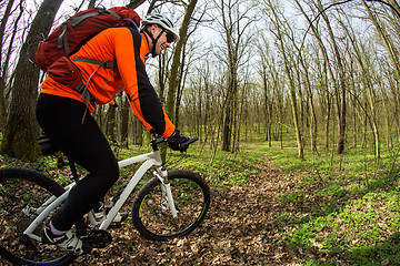 Image showing Cyclist Riding the Bike