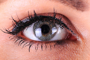 Image showing blue eye of nice woman