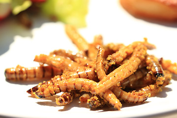 Image showing grilled worm with curry