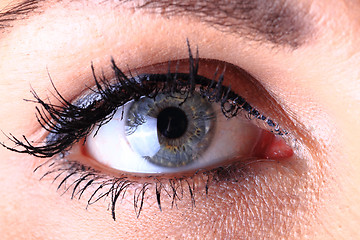 Image showing blue eye of nice woman