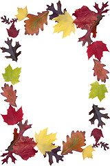 Image showing Autumn Leaf Frame