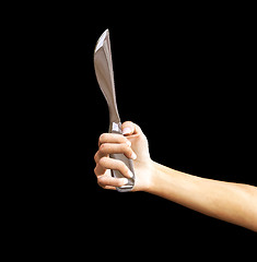 Image showing Cutting Blade