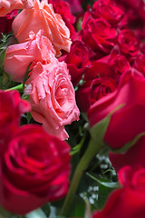 Image showing red roses background