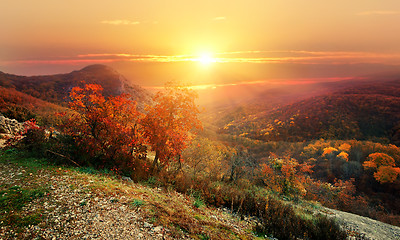 Image showing Red autumn in mountains