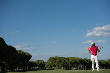 Image showing handsome middle eastern golf player portrait at course