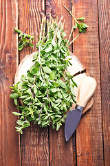 Image showing marjoram on a wooden rustic table