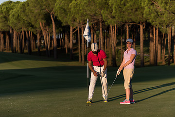 Image showing golf instructions