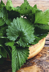 Image showing fragrant lemon balm leaves