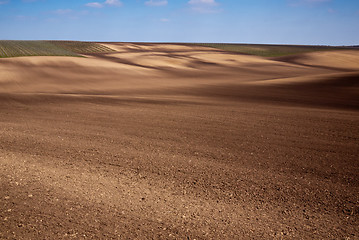 Image showing Spring landscape with fields and vineyards 