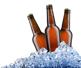 Image showing Beer in ice
