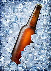 Image showing Brown bottle in ice