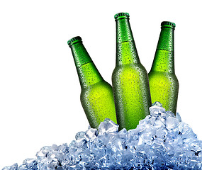 Image showing Green bottles in ice