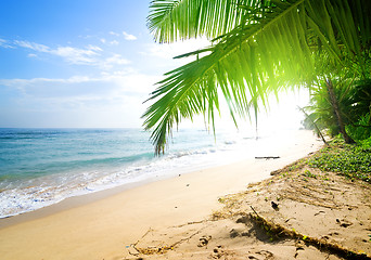 Image showing Morning sun over ocean