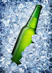 Image showing Green bottle in ice