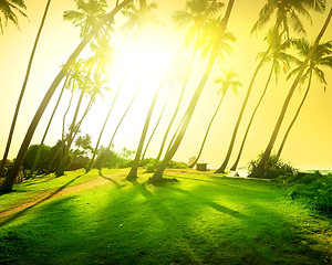 Image showing Bright sun over field