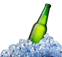 Image showing Beer bottle in ice