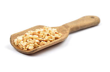 Image showing Minced hazelnuts on shovel