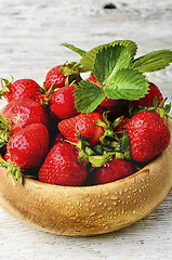 Image showing Harvest garden strawberry