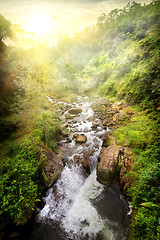 Image showing Tropical river at sunrise