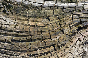 Image showing Wood texture abstract 