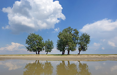 Image showing Reflexion of clouds and trees