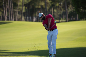 Image showing golf player hitting long shot