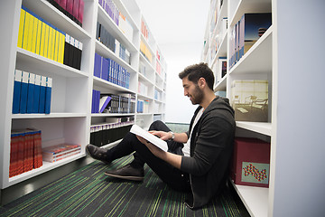 Image showing student study  in school library