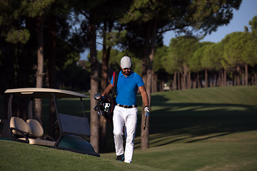 Image showing golfer  walking and carrying golf  bag